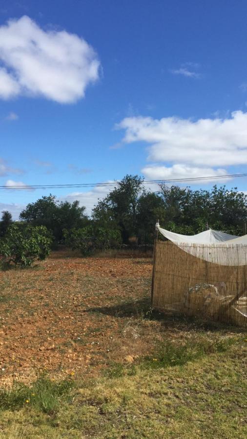 Solar Da Cotovia Villa Albufeira Eksteriør bilde