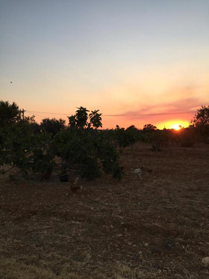 Solar Da Cotovia Villa Albufeira Eksteriør bilde