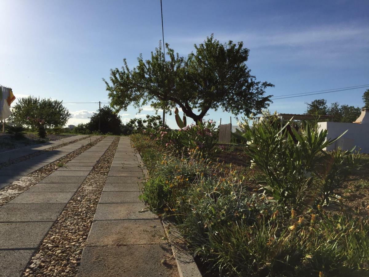 Solar Da Cotovia Villa Albufeira Eksteriør bilde
